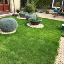 Techniques de taille pour maintenir un jardin esthétique et en bonne santé Malakoff